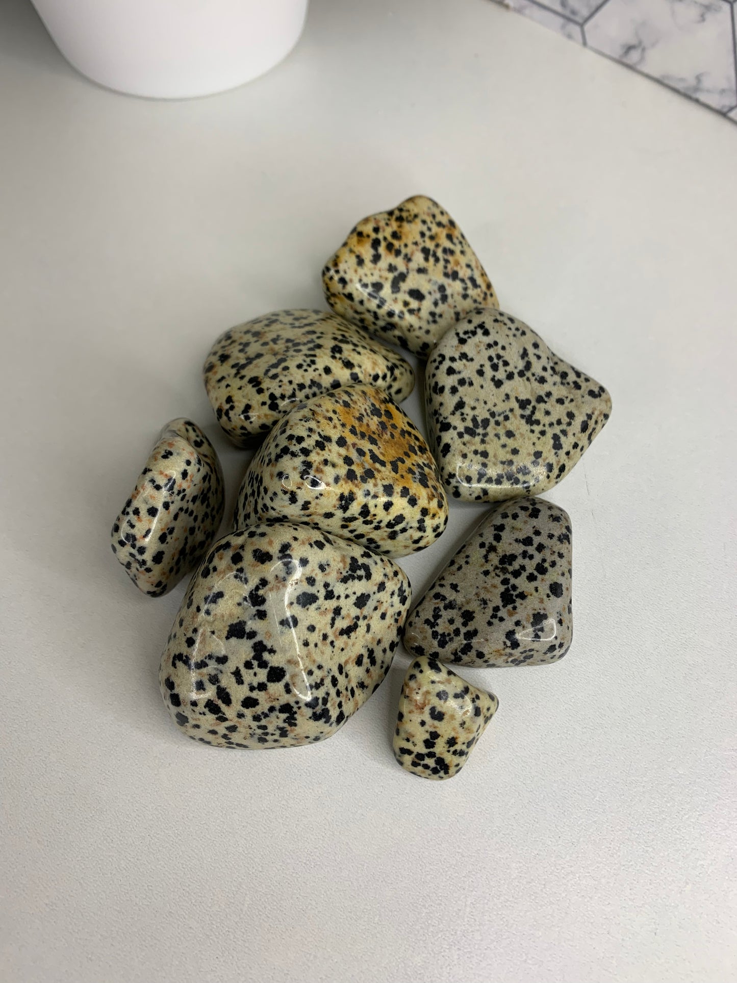 Dalmation Jasper