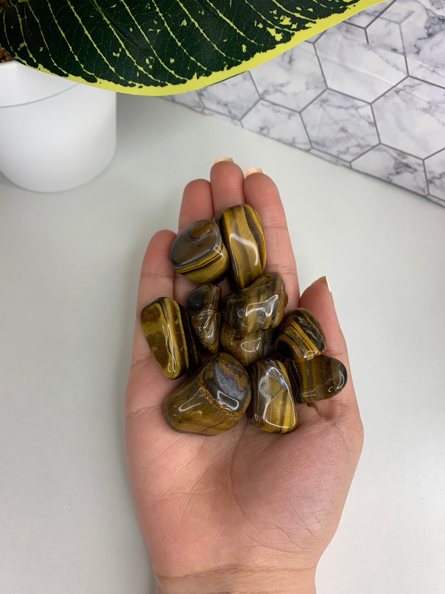 Tigers eye